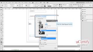 Adobe InDesign CS6 how to create button demo