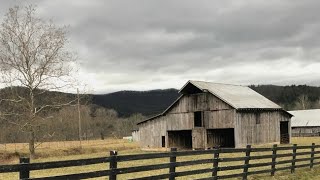 American Bulldog on American Backroads