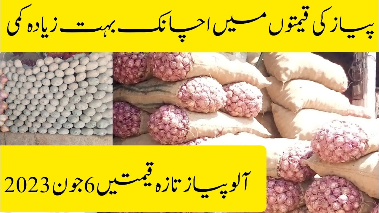 Onion Price Decrease Today l Pyaz K Rate New Vlogs l Onion Price In