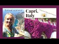 5 Reasons why I LOVE Capri, Italy (and you will too!)
