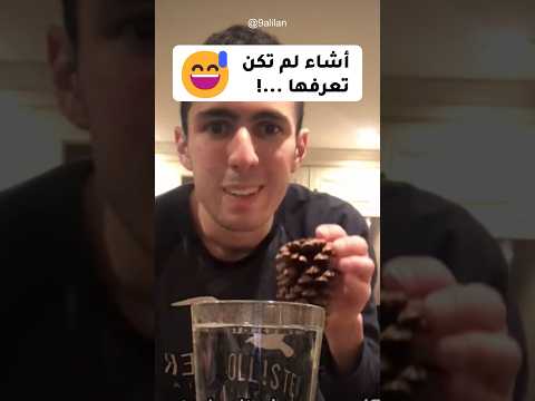 ماذا يحدث عند وضع ثمار شجرة الصنوبر في الماء الساخن 