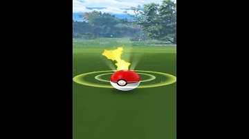 SHINY NUMEL| GOFEST2022