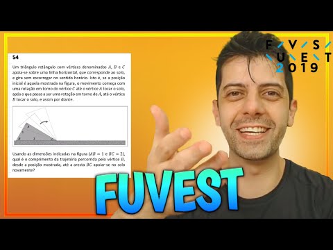 FUVEST 2019 -