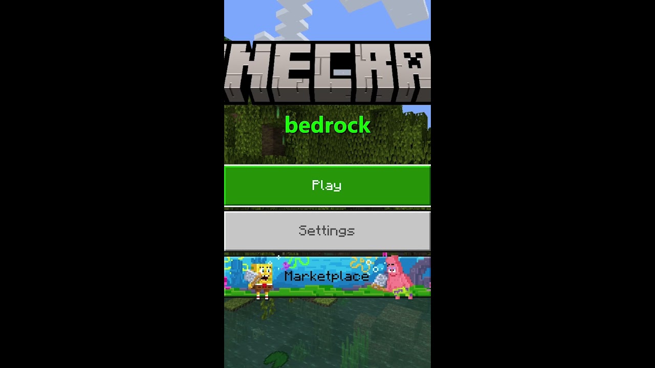 How To Join The Public Lifesteal Smp