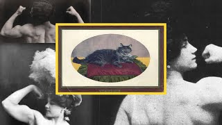 Viral Cat Memes From the Olden Days
