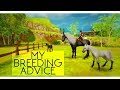 Alicia Online - How I breed