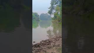 #hindisongs  #funny #river #life #ealvish #love #nature #vlog #funny