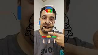 Hamburger Coloring Challenge