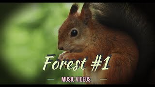 7 Best Free Music from Audio Library