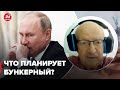 ❗️ПИОНТКОВСКИЙ назвал наибольшую опасность от путина в ближайшее время @Андрей Пионтковский