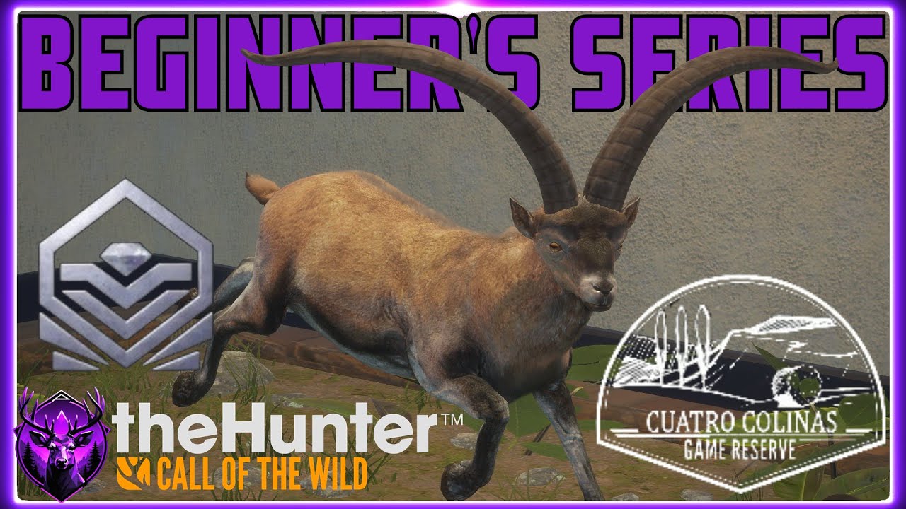 A Beginner's Guide to Cuatro Colinas in 2025