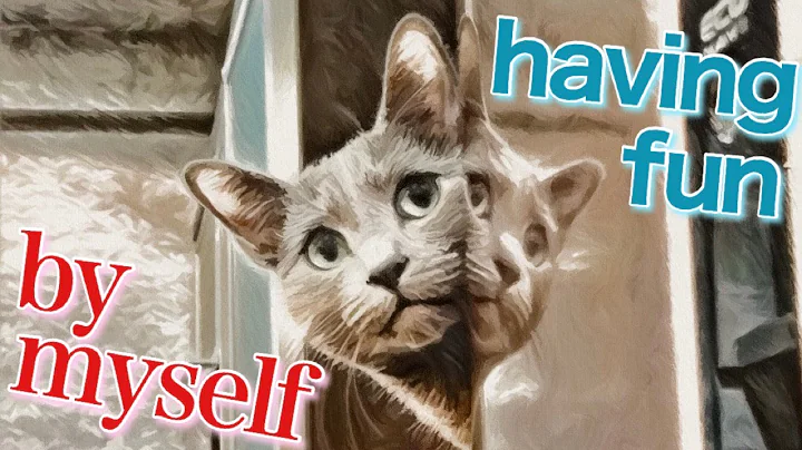 Video 1723761: russian blue, cat playing jumping, cat punch