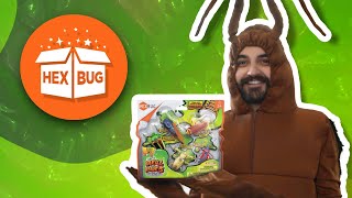 Project Example | Unboxing your Real Bugs!