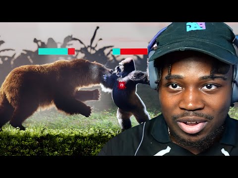 Silverback Gorilla vs Grizzly Bear: Who Wins?