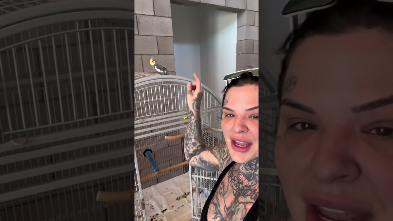 Meet my birds! 🫶🏻 #shortsvideo #shortsfeed #shorts