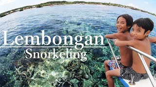 【レンボンガン島情報】サンゴ礁の海でドリフトシュノーケリングする動画
