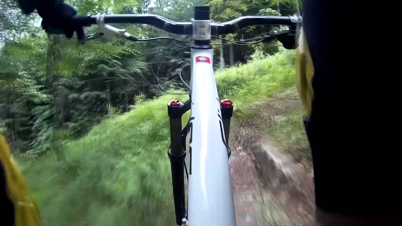 Bos Dizzy - Rychlebske Stezky