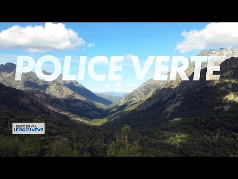 Vidéo: Police Verte