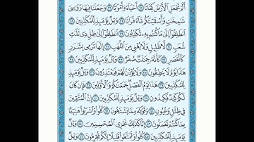 سورة المرسلات للأخ عبدالسلام الدهش رمضان 1437 هـ