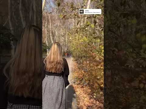 رضا روحانی سارا نائینی جادو پاییز