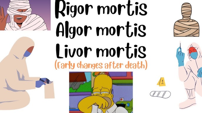 Algor Mortis