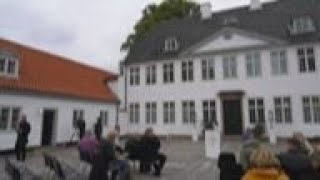As support sags, Danish PM calls Nov. 1 election