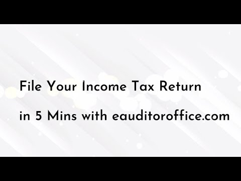 eauditoroffice