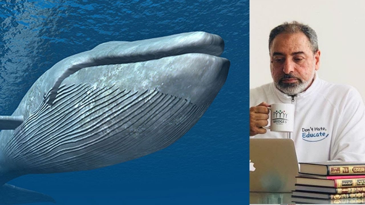 فيديو ١: ماذا لو كان معنا نبي ﷲ يونس ﷺ ؟