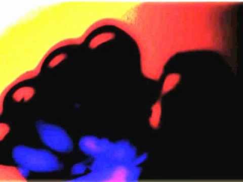 Âme ‎-- Rej [Live]