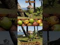 This DANCE BATTLE is NUTS! 🥥🤪🥥 Literally… Mr Nuts vs Copy of Mr Nuts epic dance battle. LOL.