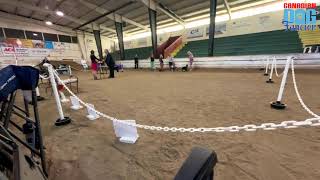 Lakes District Kennel Club- Grant Townsend