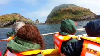 Recorriendo Chile: Isla de Chiloe