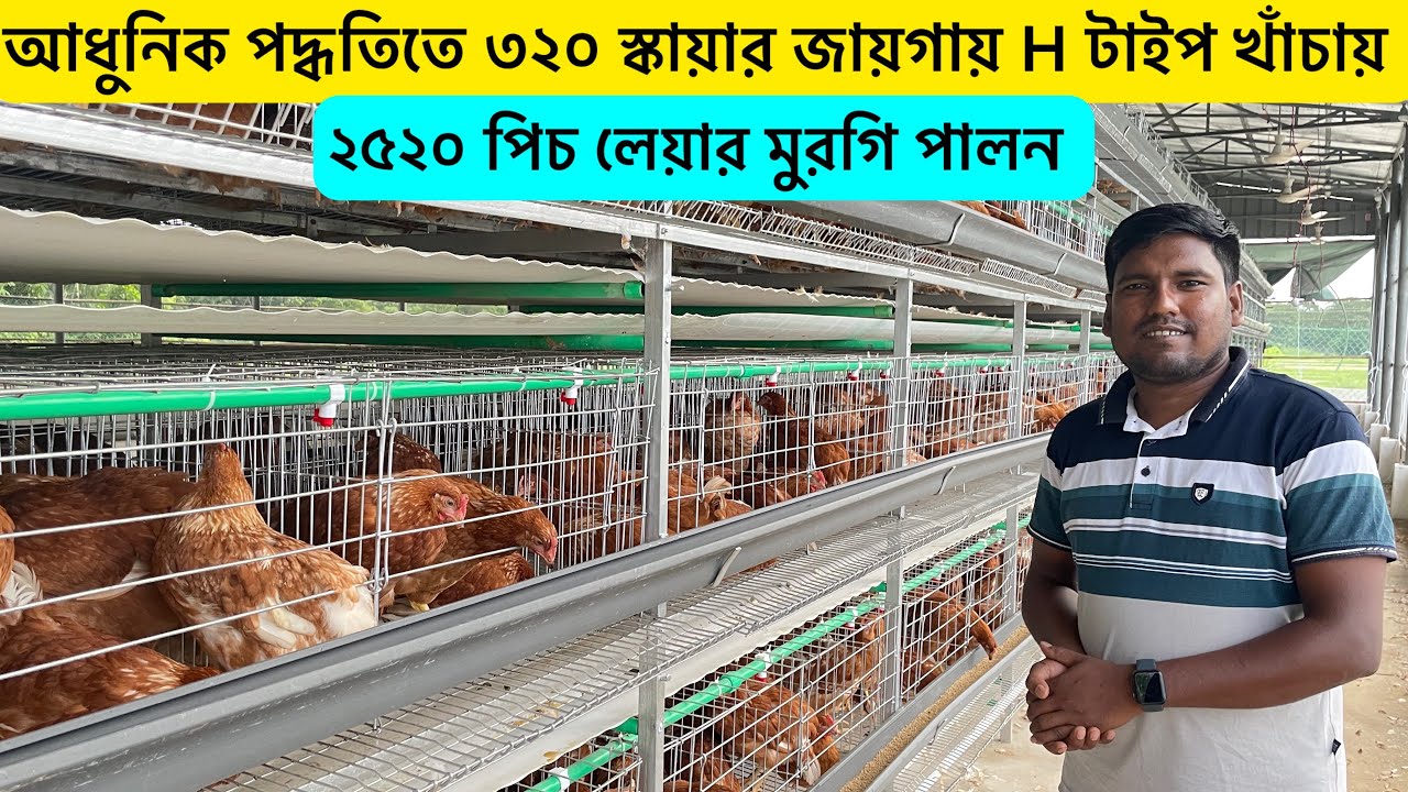 আধুনিক পদ্ধতিতে ৩২০ স্কায়ার ফিট জায়গায় ২৫২০ টা লেয়ার মুরগি পালন | লেয়ার মুরগি পালন পদ্ধতি | Aminagro