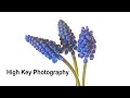 How to do High Key Photography