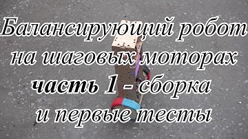 Балансирующий робот на шаговых моторах/The self-balancing robot on step motors