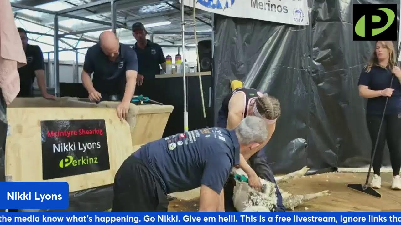 Nikki Lyons Shearing Record 3rd Run