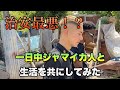【治安最悪!?】一日中ジャマイカ人と生活を共にしてみたゼンダマン