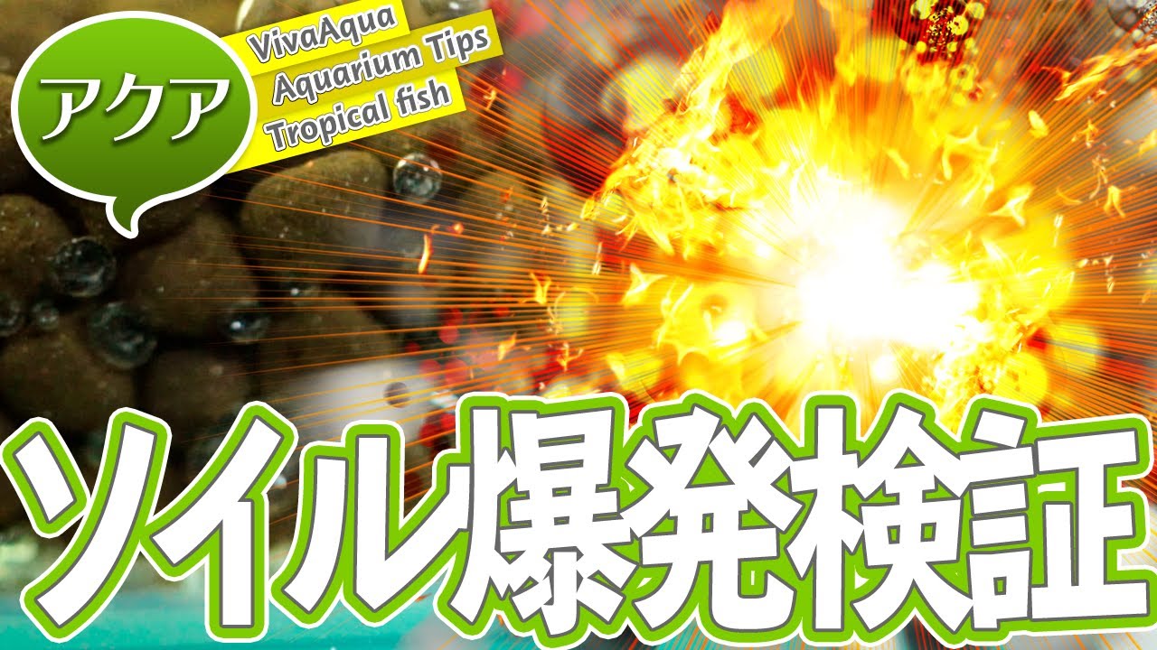 Aquarium soil explosion!? Oxygen peroxide, a weapon to eradicate