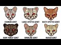 Every Type Of Genet Explained In 3 Minutes