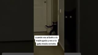 Protégeme Señor Con Tu Espíritu El Michi Endemoniao