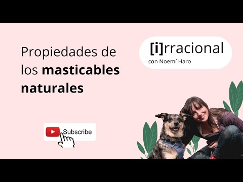 Video: Astas de ciervo como un juguete masticable para perros