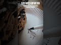 ✍️ Искусство быстрого эскиза: как легко иллюстрировать свои идеи . Эдуард Кичигин