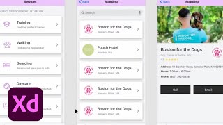 Designing a Dog Parent App with Jill Rosenberg - 2 of 2 | Adobe Creative Cloud screenshot 1