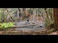 Camping the Roger Patterson Bob Gimlin Bigfoot film location