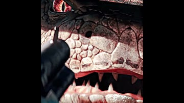 The names... Rango // #rango #rangoedit #johnnydepp #nickelodeon #edit #foryou #fyp #viral #western