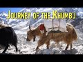 MOUNT EVEREST's Beautiful Khumbu Valley of Nepal #everest #trekking #mountains