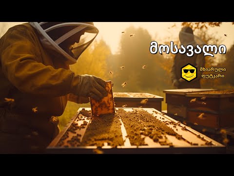 აკაციის თაფლის მოსავალი