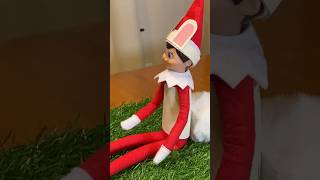 Hopping Down the Bunny Trail 🐇 #youtubeshorts #trendingshorts #viralshorts