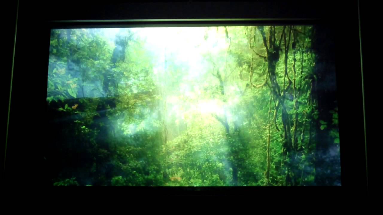 Dolby ATMOS DEMO YouTube