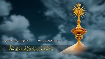 الصفحة 133 | سورة الأنعام